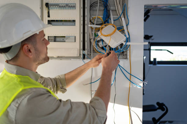 Best Ceiling Fan Installation Electrician  in King Cove, AK